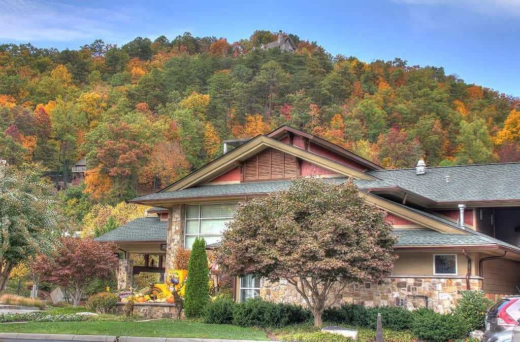 4 Reasons Your Family Will Love Visiting the Smoky Mountains in the Fall