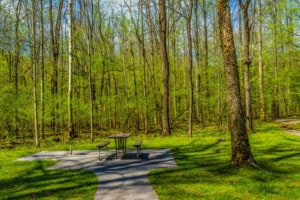 smoky mountain picnic area