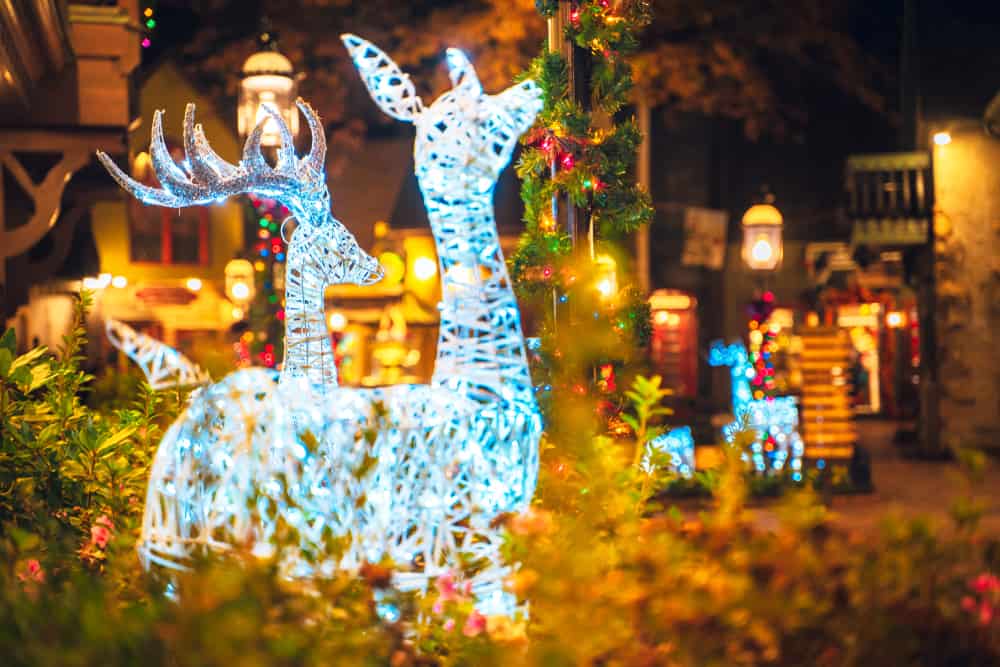Winterfest Christmas lights in Gatlinburg