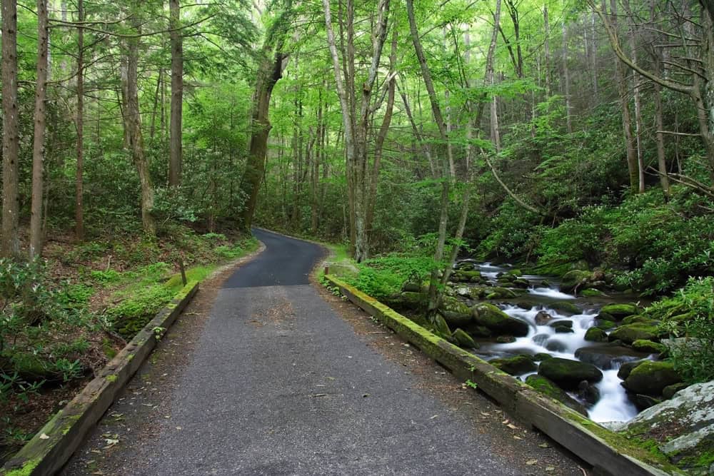 roaring fork motor nature trail