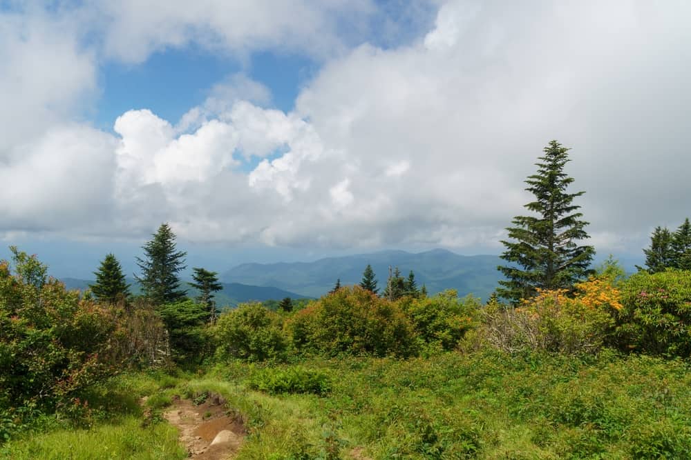 view from Andrews Bald in the Smoky Mountains