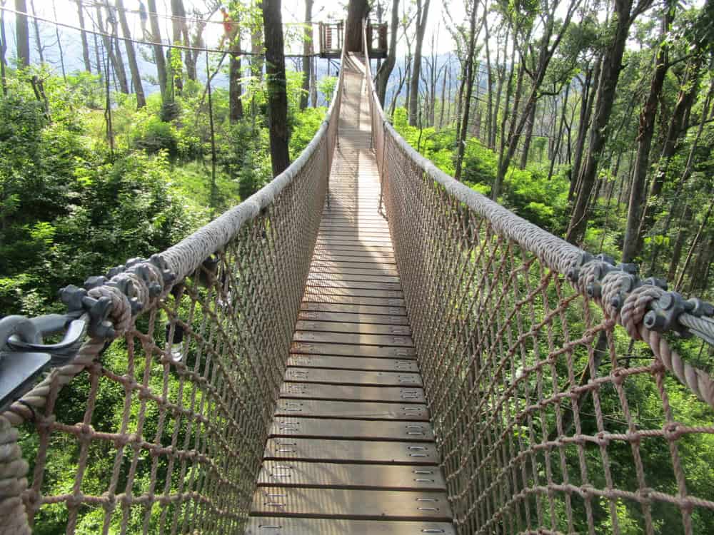 5 Awesome Things to Do in Gatlinburg This Summer When You Visit