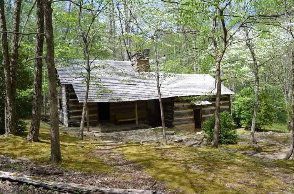 6 of the Best Hikes in the Great Smoky Mountains for Families