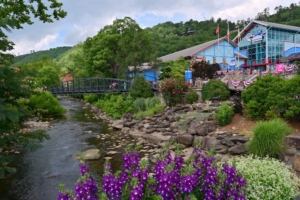 Ripley's Aquarium of the Smokies