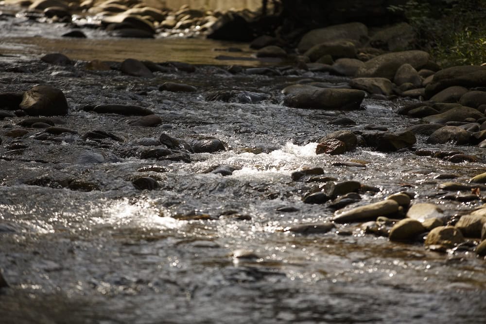 little pigeon river from greystone