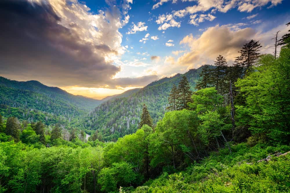 smokies view from newfound gap
